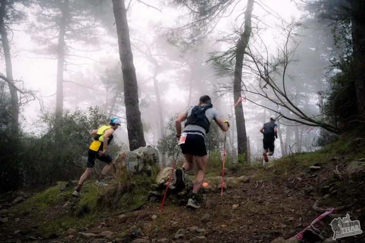 Atleti dell'Elba Trail nella nebbia tra i pini